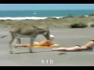 Jikan porno noir hom ...
