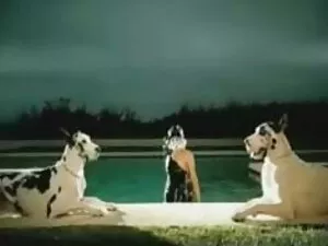 Les mamans à la rech ...